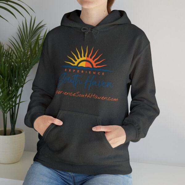 Experience South Haven - Unisex Heavy Blend™ Hooded Sweatshirt - Image 81
