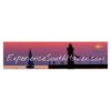 Experience South Haven - Bumper Stickers - Image 2