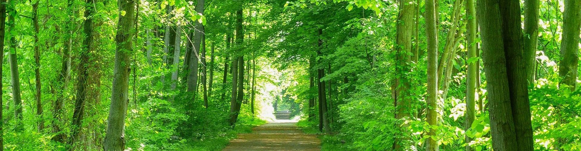 Kal-Haven Trail, South Haven, Michigan