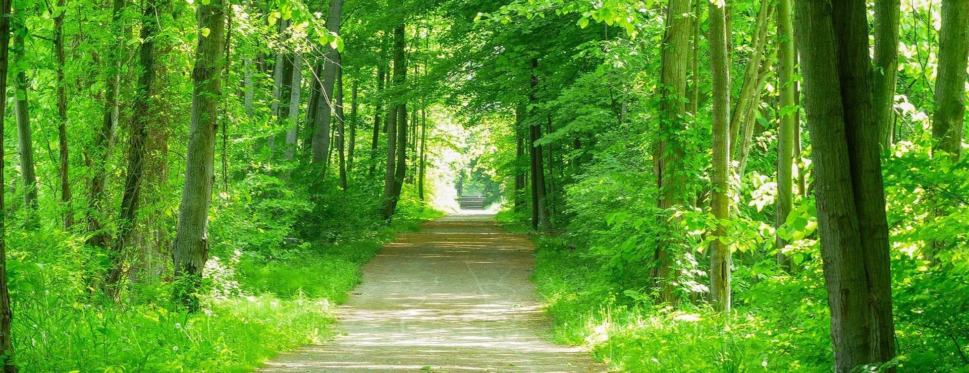 Kal-Haven Trail, South Haven, Michigan